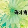 碟斗青冈（关于碟斗青冈介绍）