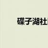 碟子湖社区（关于碟子湖社区介绍）