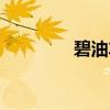 碧油车（关于碧油车介绍）