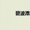 碧波潭路（关于碧波潭路介绍）