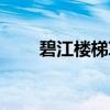 碧江楼梯草（关于碧江楼梯草介绍）