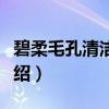 碧柔毛孔清洁鼻贴（关于碧柔毛孔清洁鼻贴介绍）