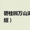 碧桂园万山湖壹号（关于碧桂园万山湖壹号介绍）