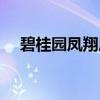 碧桂园凤翔府（关于碧桂园凤翔府介绍）