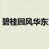 碧桂园风华东方（关于碧桂园风华东方介绍）