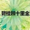碧桂园十里金滩（关于碧桂园十里金滩介绍）