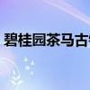 碧桂园茶马古镇（关于碧桂园茶马古镇介绍）