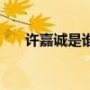 许嘉诚是谁（李嘉诚对许家印的评价）