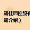 碧桂园控股有限公司（关于碧桂园控股有限公司介绍）