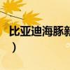 比亚迪海豚新能源汽车介绍（新能源汽车介绍）
