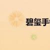 碧玺手链（关于碧玺手链介绍）