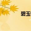 碧玉轩（关于碧玉轩介绍）
