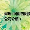 碧瑶 中国控股股份有限公司（关于碧瑶 中国控股股份有限公司介绍）