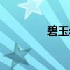 碧玉岩（关于碧玉岩介绍）