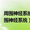 周围神经系统由躯体神经系统和什么构成（周围神经系统）