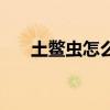 土鳖虫怎么吃治骨折（土鳖虫怎么吃）
