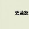 碧蓝怒火（关于碧蓝怒火介绍）