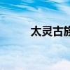 太灵古族圣品天至尊（太灵古族）