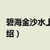 碧海金沙水上乐园（关于碧海金沙水上乐园介绍）