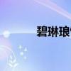 碧琳琅馆（关于碧琳琅馆介绍）