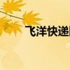 飞洋快递国际运单查询（飞扬快递）
