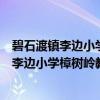 碧石渡镇李边小学樟树岭教学点志愿服务队（关于碧石渡镇李边小学樟树岭教学点志愿服务队介绍）