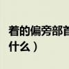 着的偏旁部首是什么一年级（着的偏旁部首是什么）