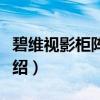 碧维视影柜阵列柜（关于碧维视影柜阵列柜介绍）