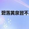 碧落黄泉皆不见（关于碧落黄泉皆不见介绍）