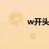 w开头的男生英文名（WKA）