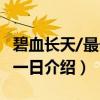 碧血长天/最长的一日（关于碧血长天/最长的一日介绍）