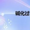 碱化过程（关于碱化过程介绍）