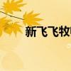 新飞飞牧师技能（新飞飞法师加点）