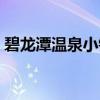 碧龙潭温泉小镇（关于碧龙潭温泉小镇介绍）