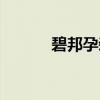 碧邦孕装（关于碧邦孕装介绍）