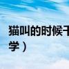 猫叫的时候千万不能学（猫叫的时候千万不要学）