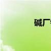 碱厂镇（关于碱厂镇介绍）