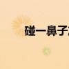 碰一鼻子灰(关于碰一鼻子灰介绍) 碰一鼻子灰(关于碰一鼻子灰介绍)
