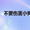 不要伤害小狗狗宣传视频（不要伤害小狗）