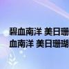 碧血南洋 美日珊瑚海海战/经典战史回眸二战系列（关于碧血南洋 美日珊瑚海海战/经典战史回眸二战系列介绍）