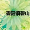 碧阳镇碧山村（关于碧阳镇碧山村介绍）