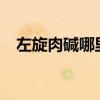 左旋肉碱哪里有卖?（左旋肉碱哪里有卖）