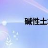 碱性土壤（关于碱性土壤介绍）