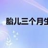 胎儿三个月生殖长出来了吗(胎儿三个月) 胎儿三个月生殖长出来了吗(胎儿三个月)
