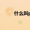 什么叫pu皮材质（什么叫pu皮）