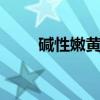 碱性嫩黄O（关于碱性嫩黄O介绍）