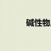 碱性物质（关于碱性物质介绍）