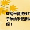 碳纳米管接枝共聚物炭化制备多孔炭及其电容特性研究（关于碳纳米管接枝共聚物炭化制备多孔炭及其电容特性研究介绍）