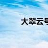 大翠云号事件最新消息（大翠云）