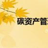 碳资产管理（关于碳资产管理介绍）